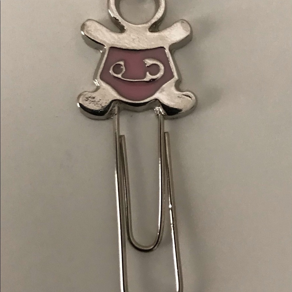 Stainless Steel Clips- 15 pieces